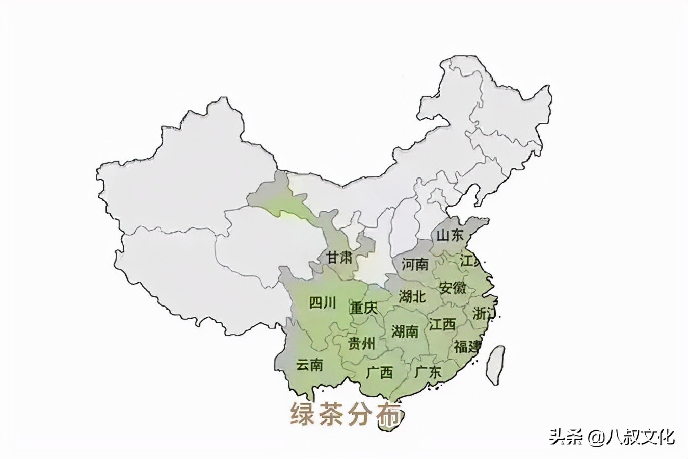 中国绿茶哪个好喝,各地好喝的绿茶排名