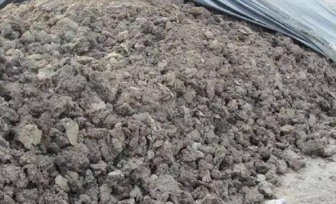 76岁农村大爷养鸡赚钱,小伙子在农村养鸡致富