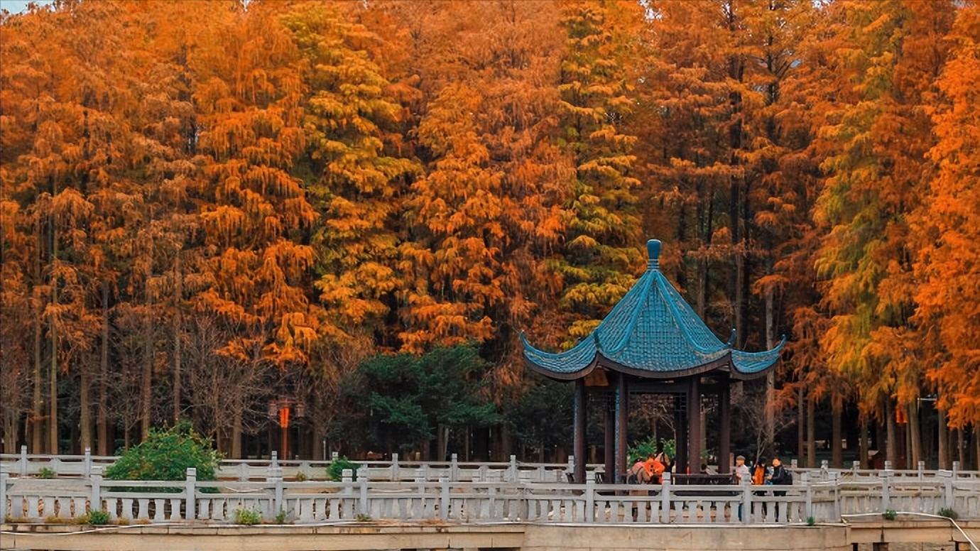 福建省福州市几个区,中国34个省级行政区域教学视频