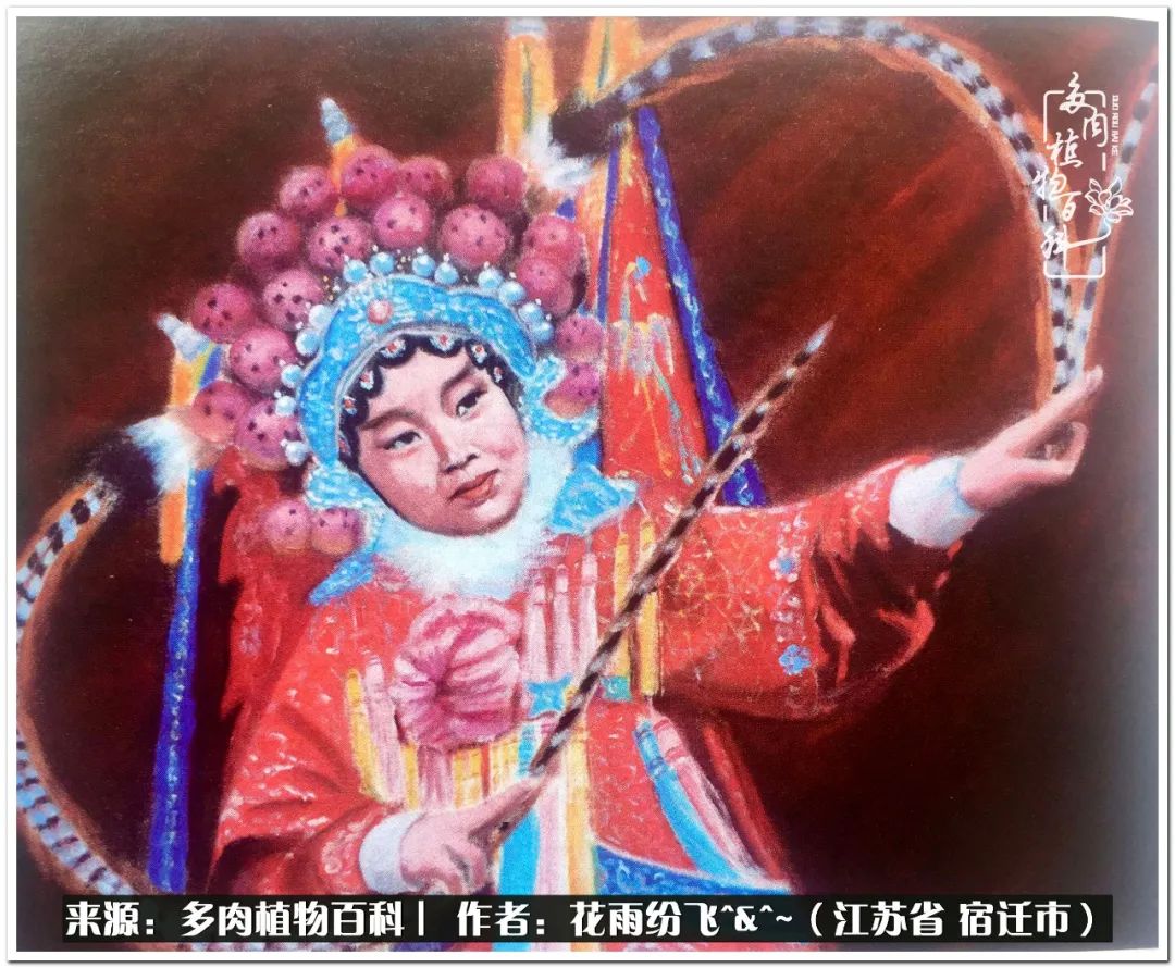 快乐的童年时光视频,回味快乐的童年美好的时光