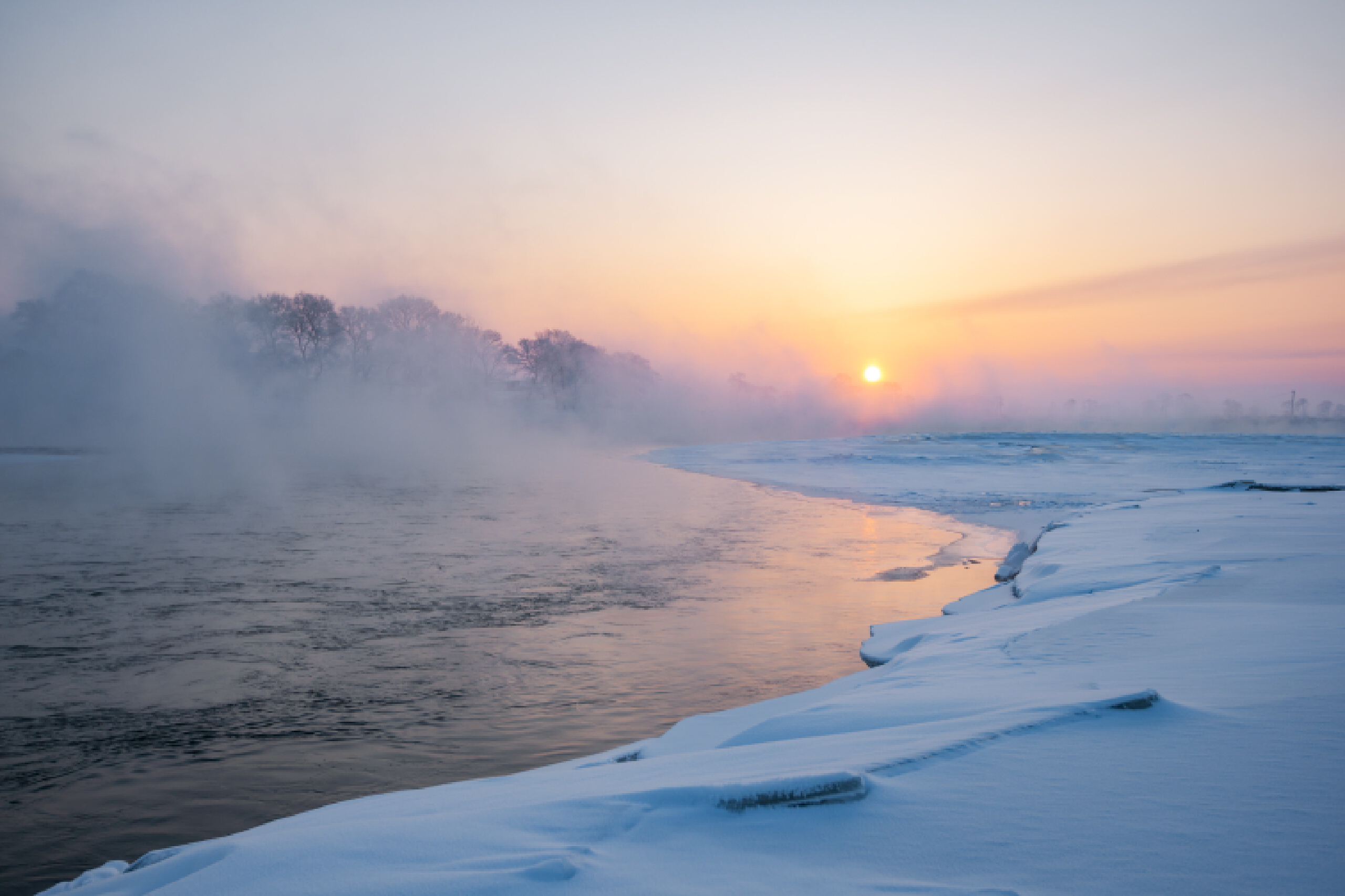 漫看四五卷，清煮梅花香！冬天到底有多美？诗词会给你答案