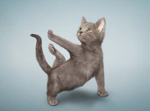 想到哪儿疼就哪儿疼是什么原因,想到哪不舒服就立刻不舒服