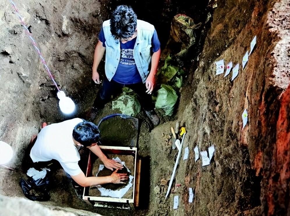 山西老农砍柴发现藏金洞,山西老汉发现山洞洞里藏金砖