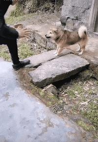 搞笑图片发烧,小女孩gif搞笑动态图片大全