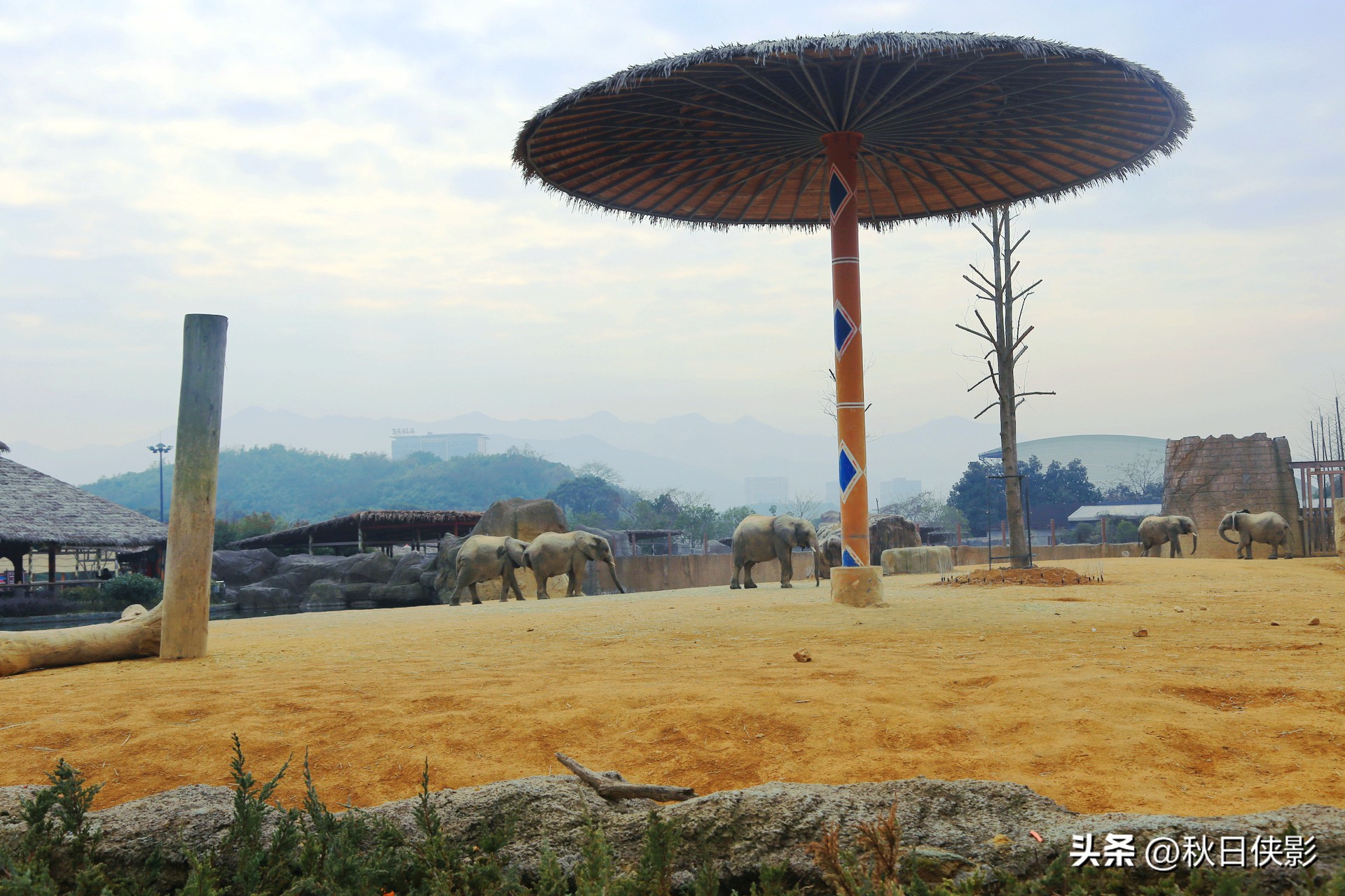 杭州野生动物世界自驾游攻略,杭州野生动物世界自驾还是步行好