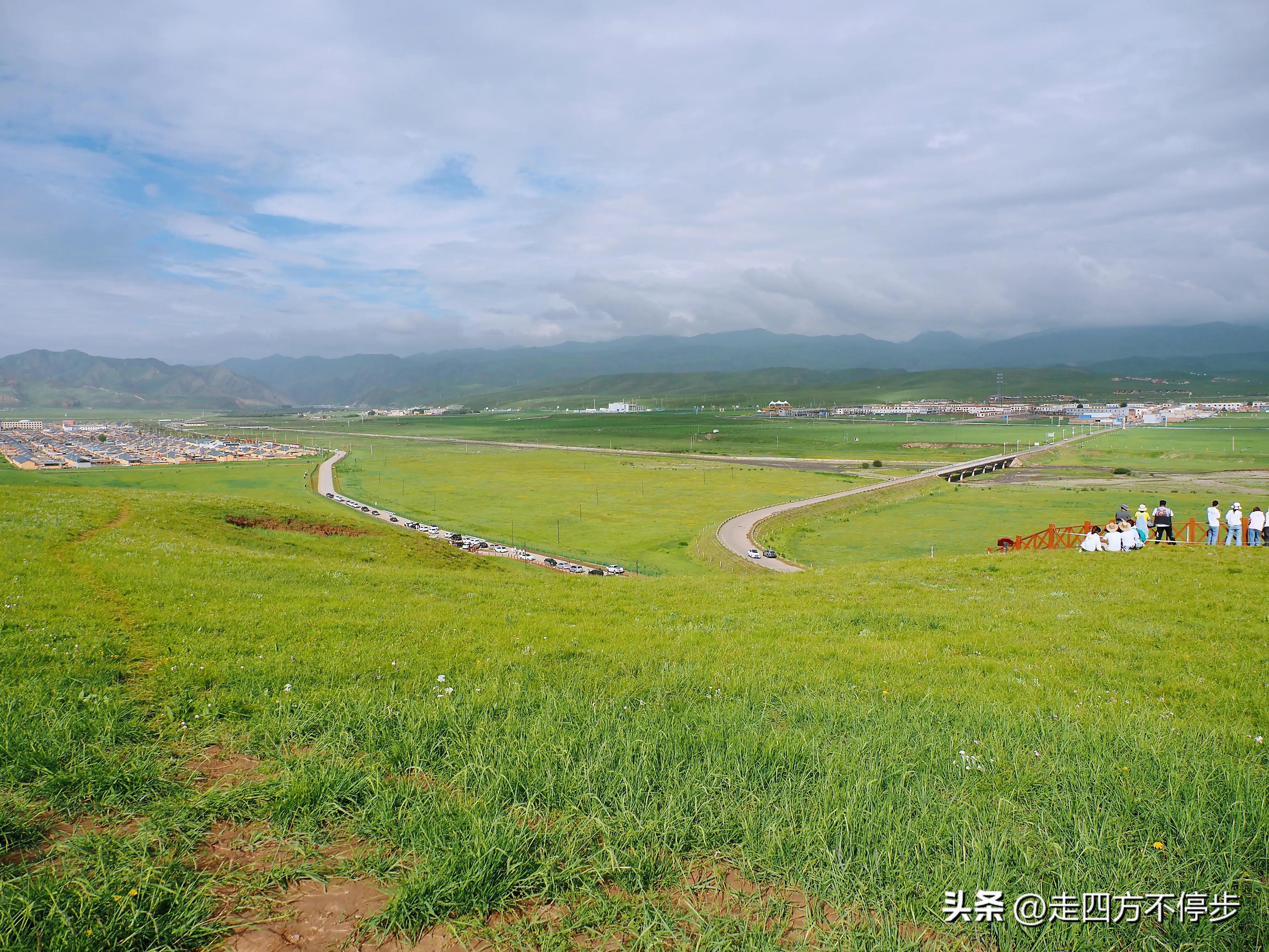 甘南自驾游桑科草原下一站,甘南桑科草原高清精美视频