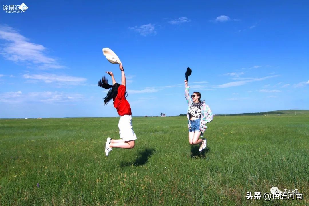 两只悠闲自在的乌龟,两只互动性很强的小乌龟