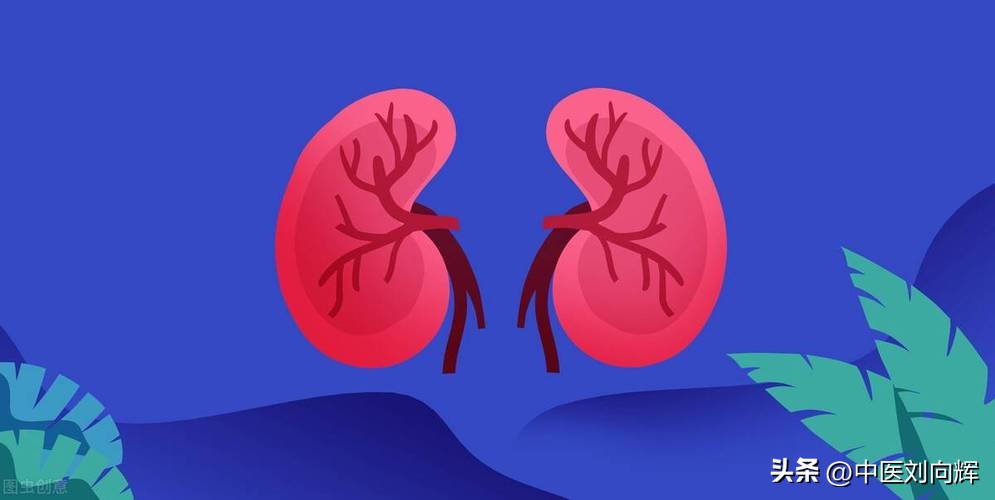 肾虚强肾绝招,肾好不好看睡眠就能知道