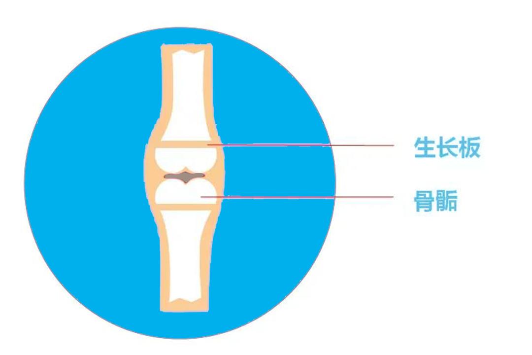 女儿月经初潮后吃什么能帮助长高,11周岁月经初潮正常吗还能长高吗