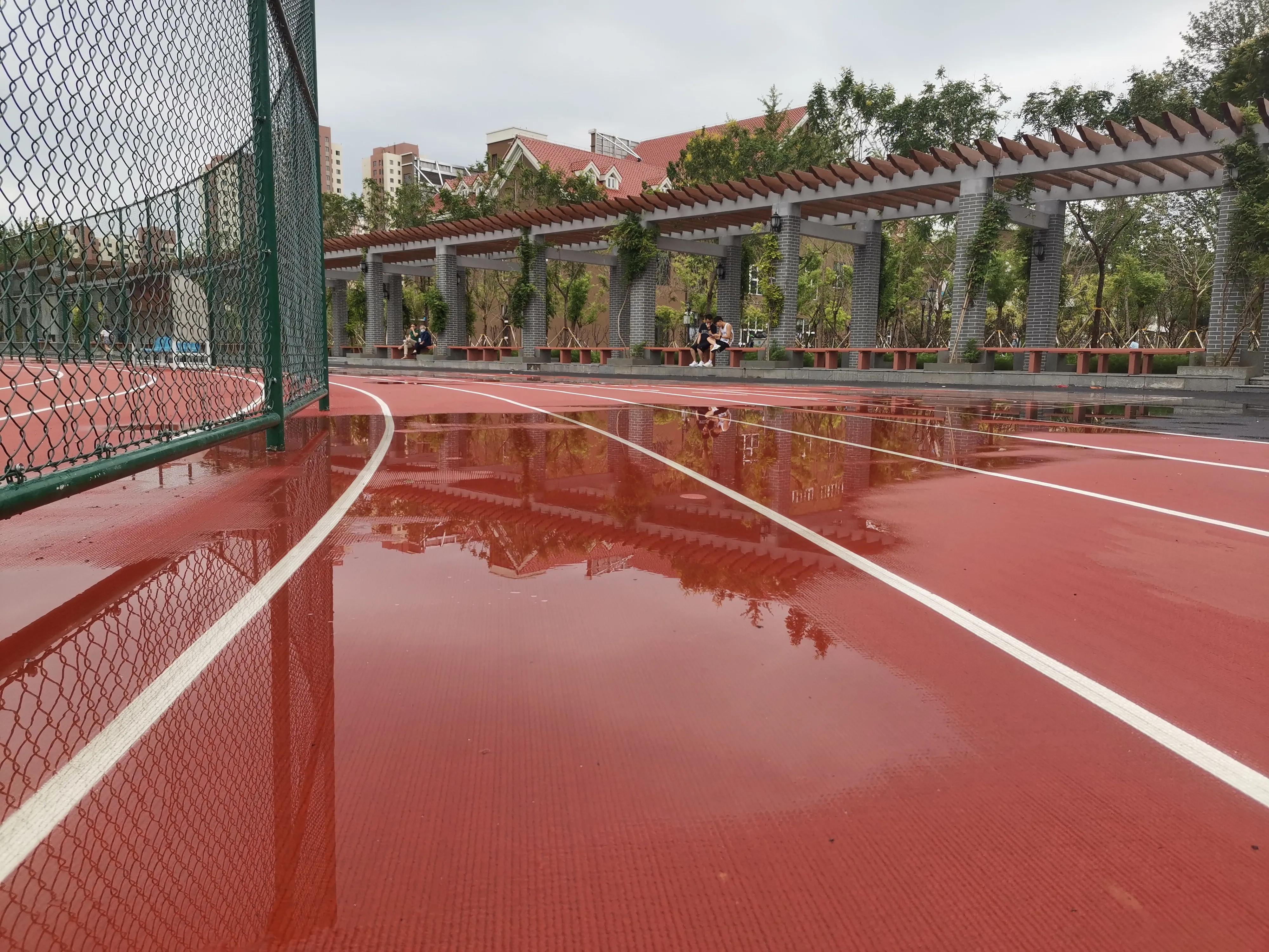 大雨过后的天津,大雨后的公园视频
