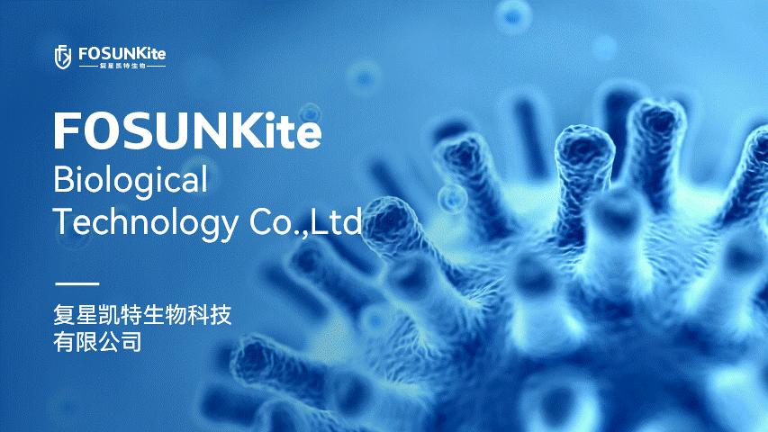 年终汇报ppt技巧大全,工作汇报会上同事汇报的ppt