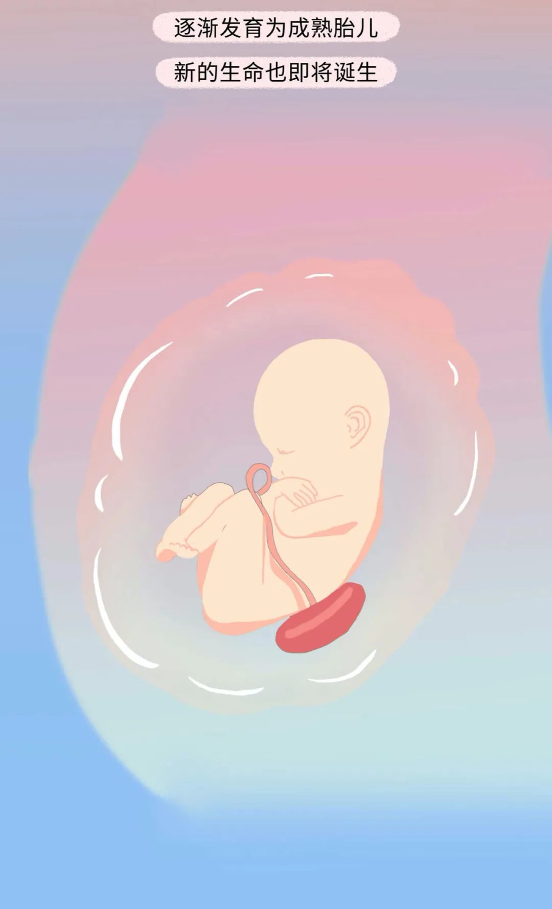 漫画：精子进入女生体内的全过程曝光！别害羞，早知早受益