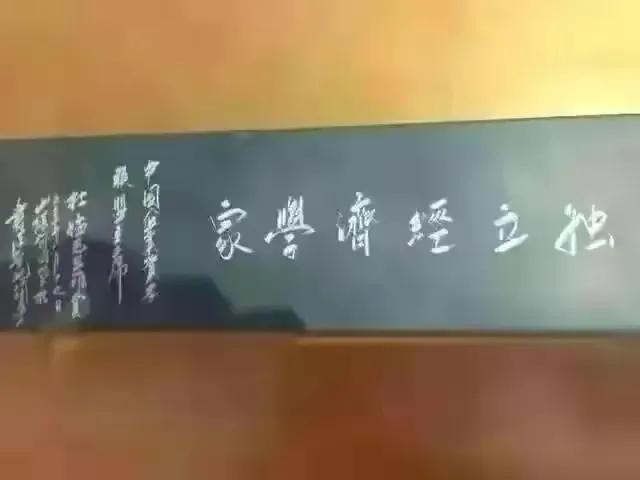 金融街杜猛视频,金融街电讯深度观察