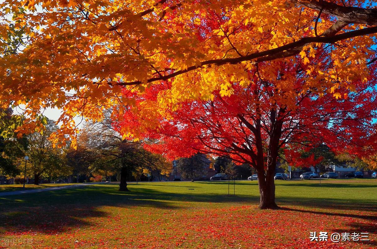 女作家去当保姆78,女作家去做保姆486