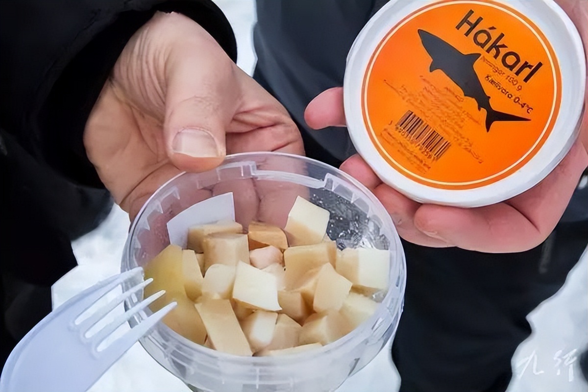 鲨鱼被割掉鱼鳍还能活多久,现在鲨鱼每年有多少被杀