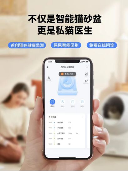 养猫必备好物清单,不贵又实用的养猫好物分享