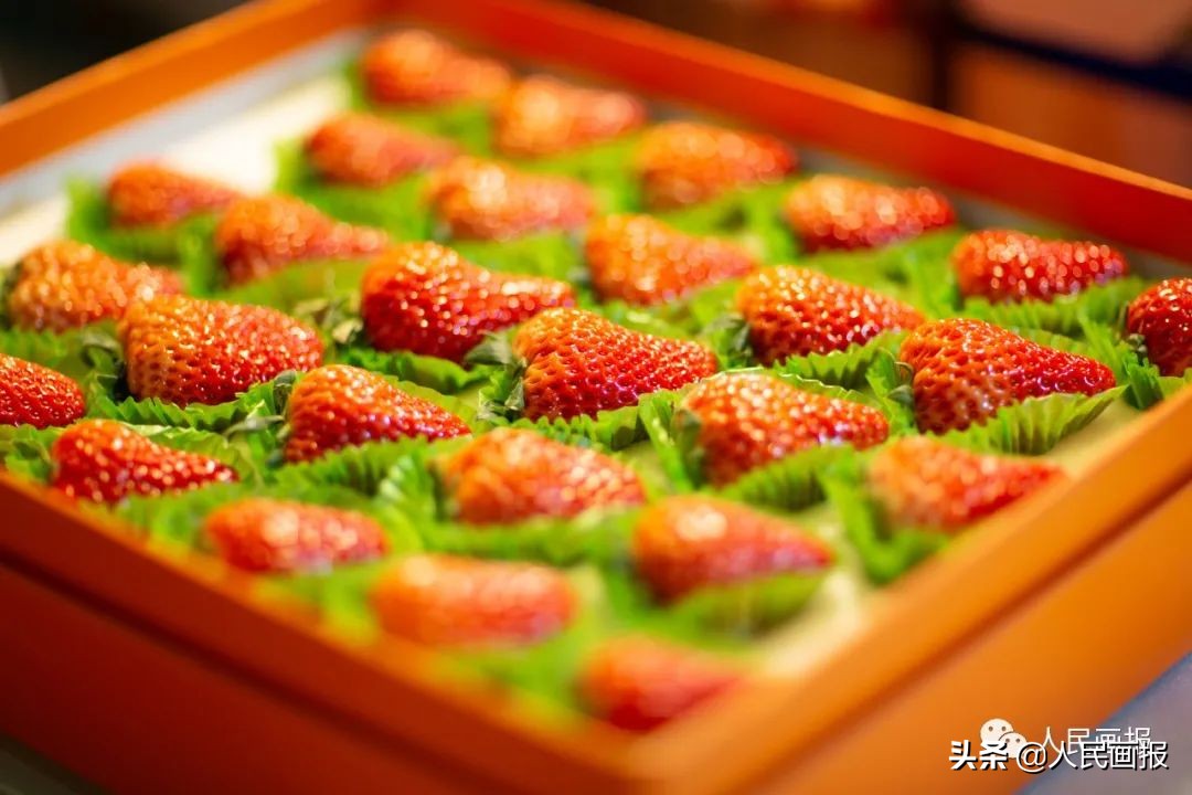 新春走基层进小区赶集,新春走基层富民新村年味浓浓