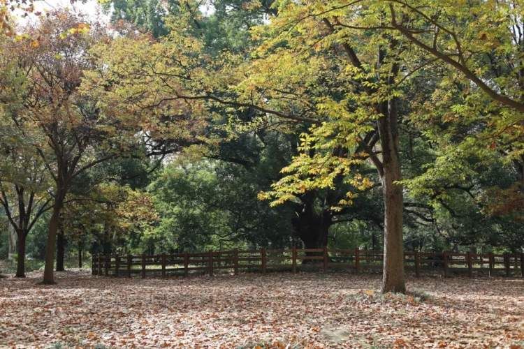 最值得打卡的动物园,国庆必打卡动物园推荐