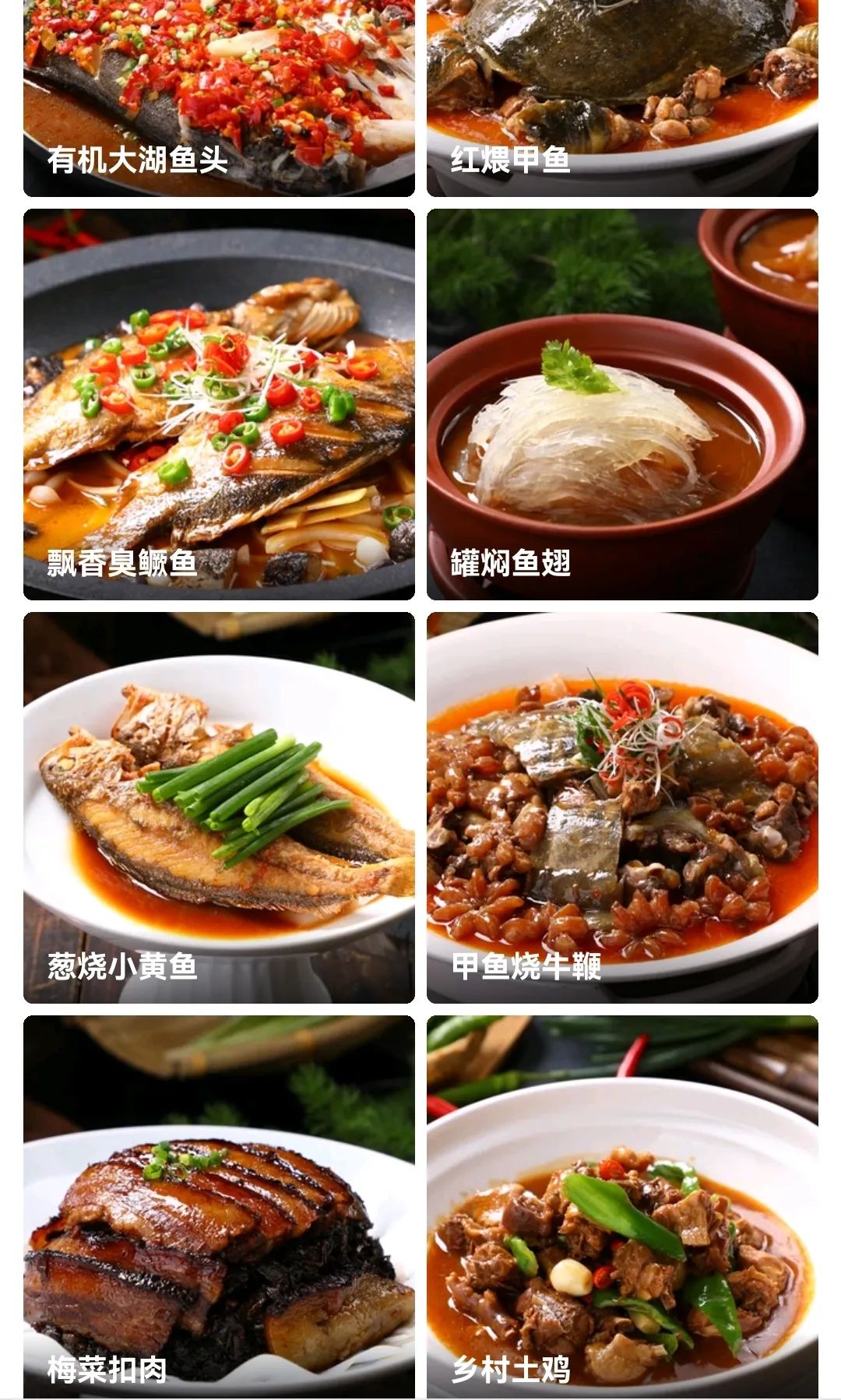 “新店不到一年就停业”！曾经的餐饮首富“重出江湖”失败？