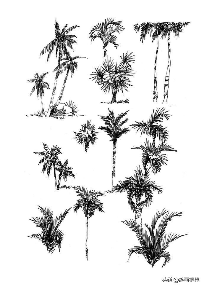 零基础不会画画怎么学当插画师,零基础画不好色彩