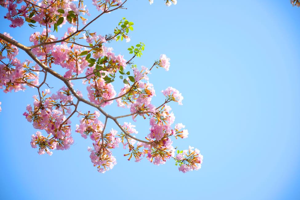 今年春分那天日子好吗,今年春分