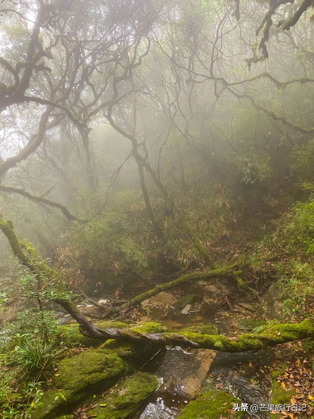 广州周边发现人少景美的地方，是华南第一峰，在广西桂林
