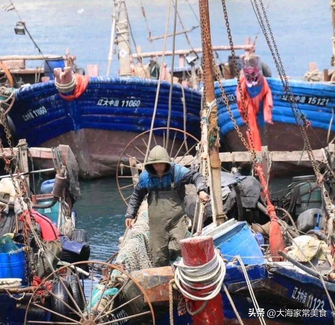 大连封海了还能吃的海鲜,大连开海吃海鲜攻略