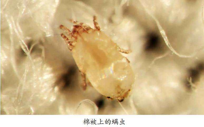 滚筒洗衣机完全解说,家电大兵滚筒洗衣机