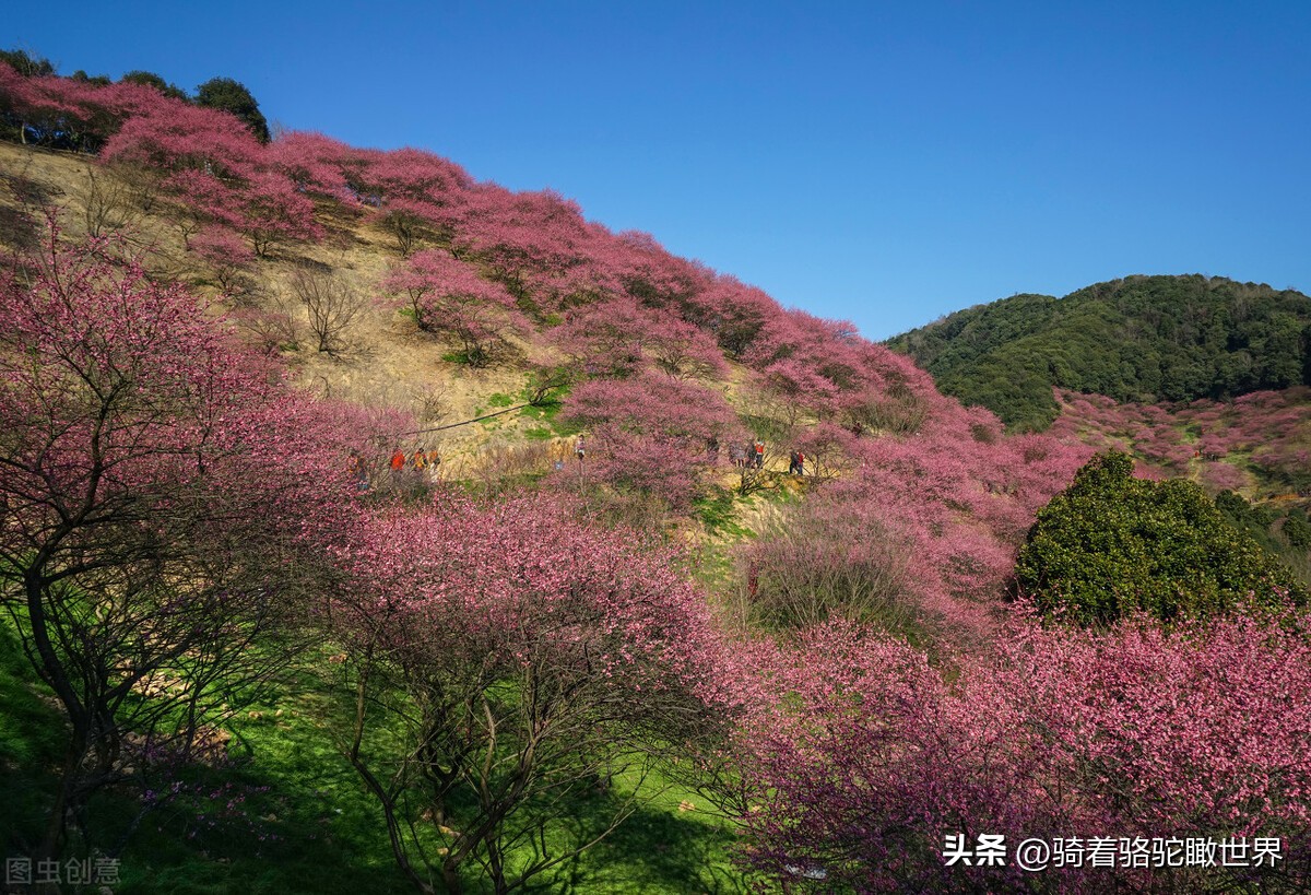 郑州历史遗迹景点有哪些,郑州名胜古迹有哪些景区