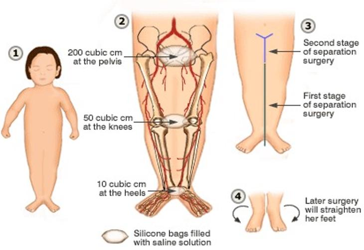 各类动物的排泄,各种动物的排泄物有哪些