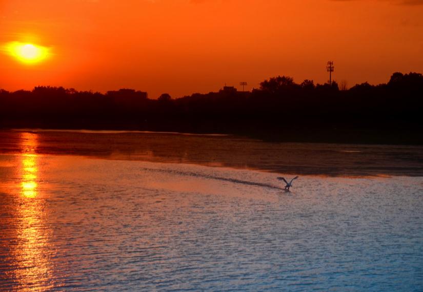 唐朝被誉为七绝圣手的诗人是谁,唐朝最出名的十位诗人的诗