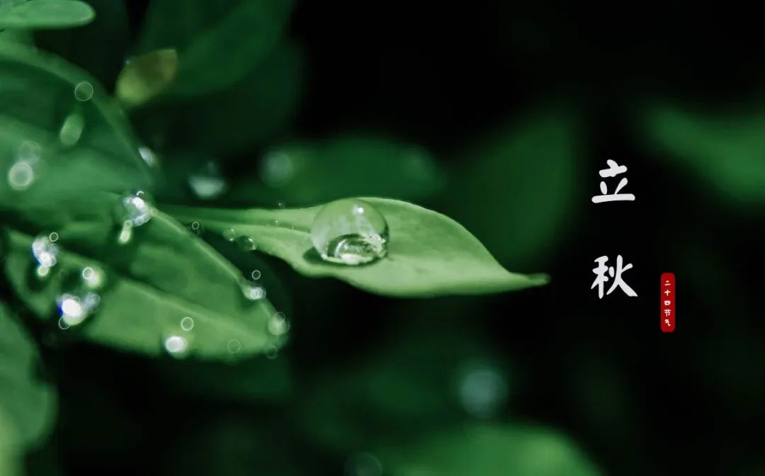 立秋的经典诗词,立秋最好的十首诗词