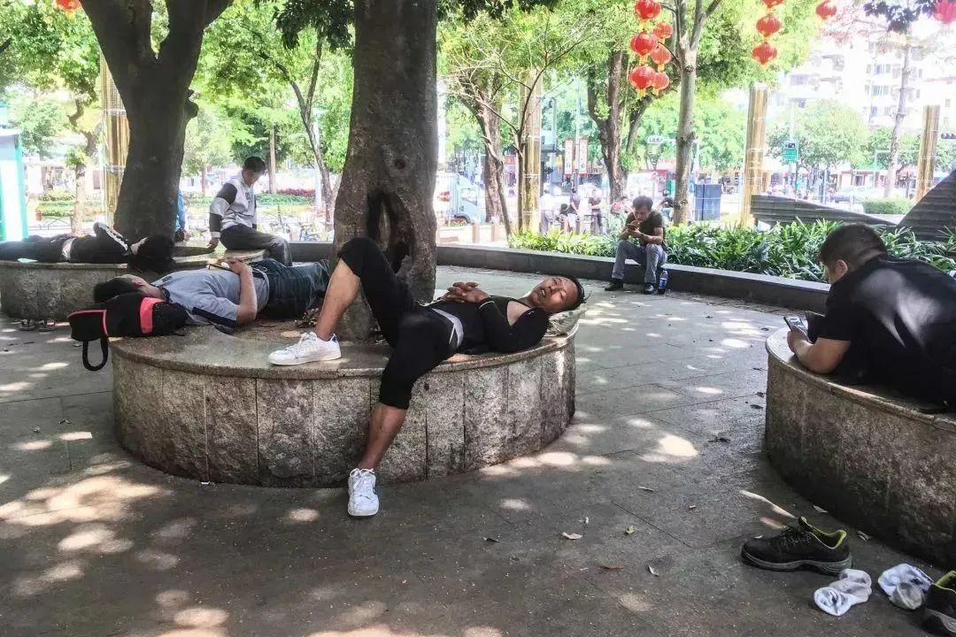 《旭光骑行深圳》第21站——龙华区龙华街道