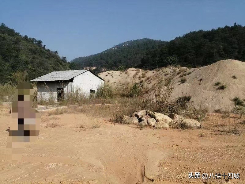 滩上盗采黄沙案,非法盗取河沙案处罚