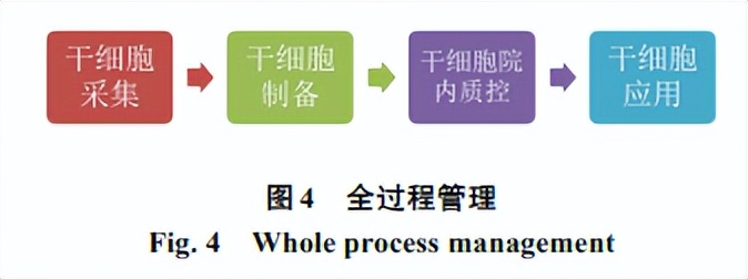 干细胞的研究现状与未来,干细胞研究的咋样了