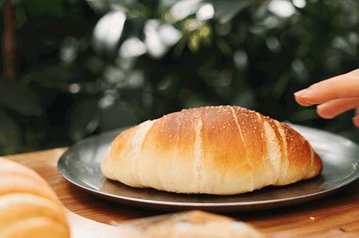 “面包脑袋的天堂，藏在东山口博物馆里”