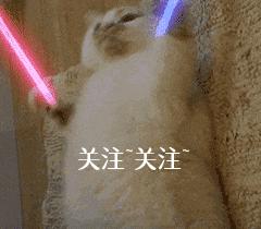 这些狗看上去高大威猛，实际上就是“胆小鬼”