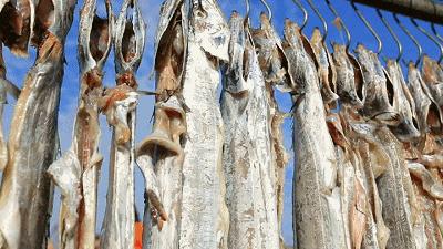 什么样的舟山带鱼好吃,舟山带鱼世界上最好吃的