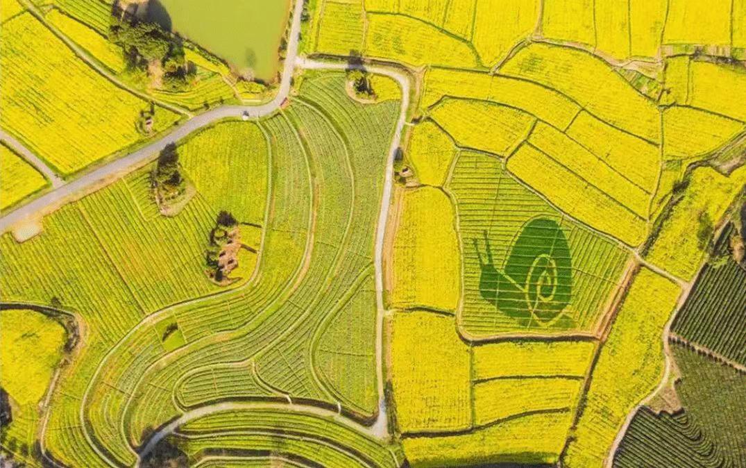 白绿蓝红黄,白绿黄红黑