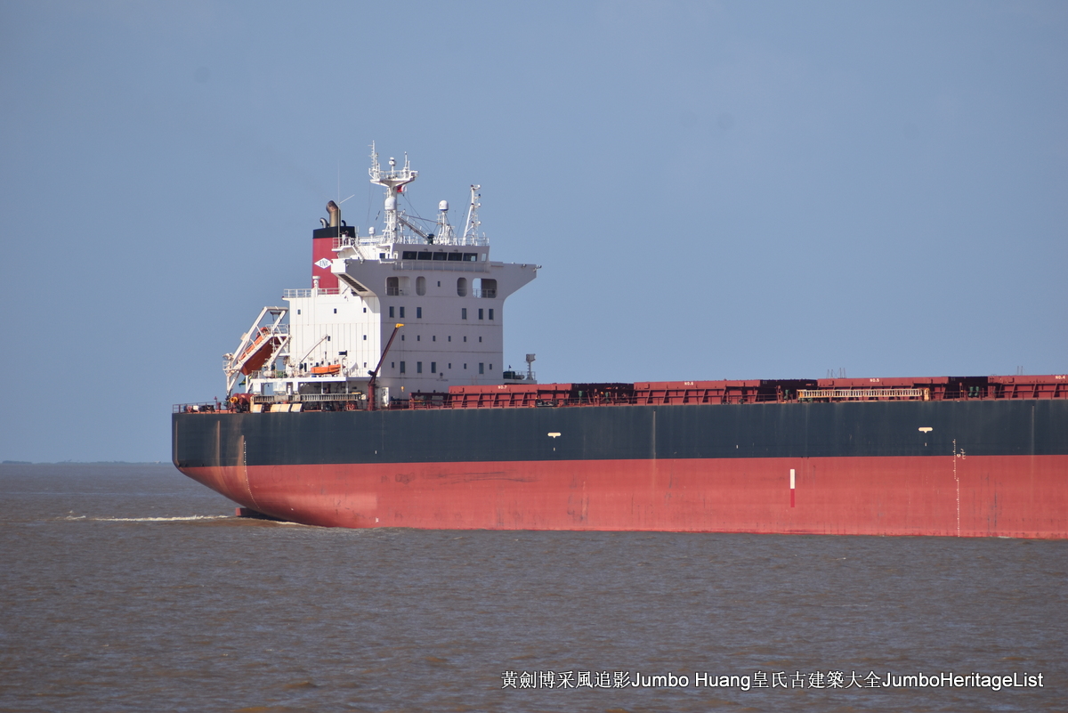 第5047回：消失的亚马逊文明，流失的林下聚居地