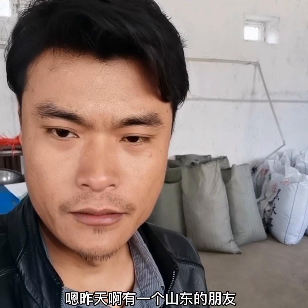 黑木耳怎么辨别好坏,如何鉴别黑木耳真假