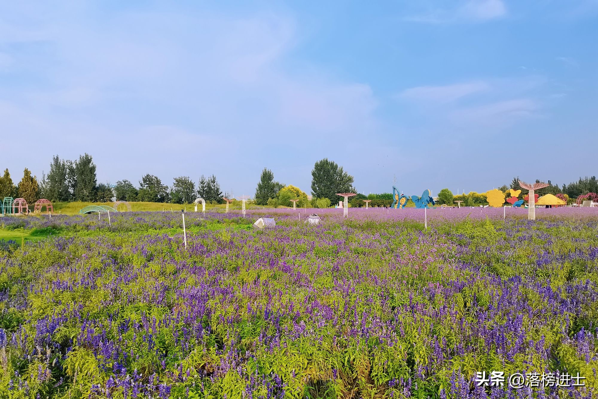 石家庄森林河趣主题公园五一,石家庄森林河主题公园攻略