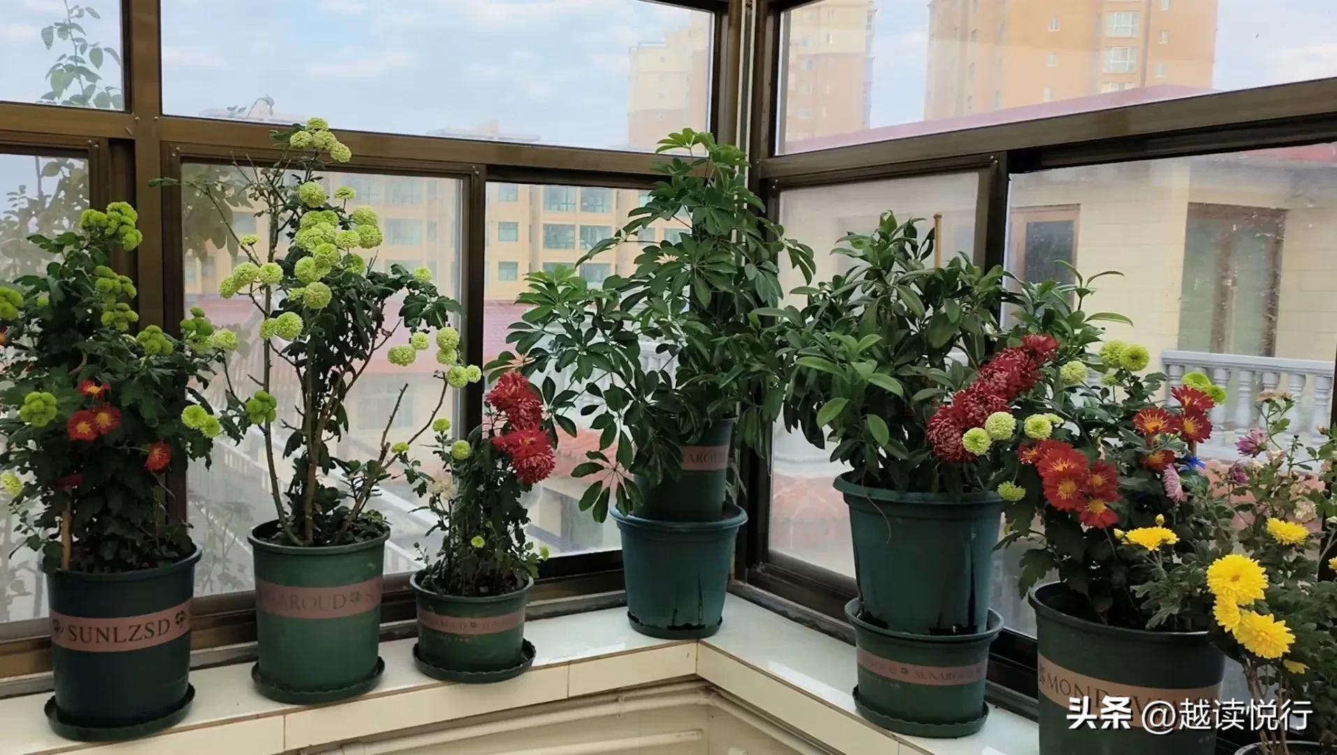 北方春来迟，料峭春寒中，看黄河水暖，白塔山醒！