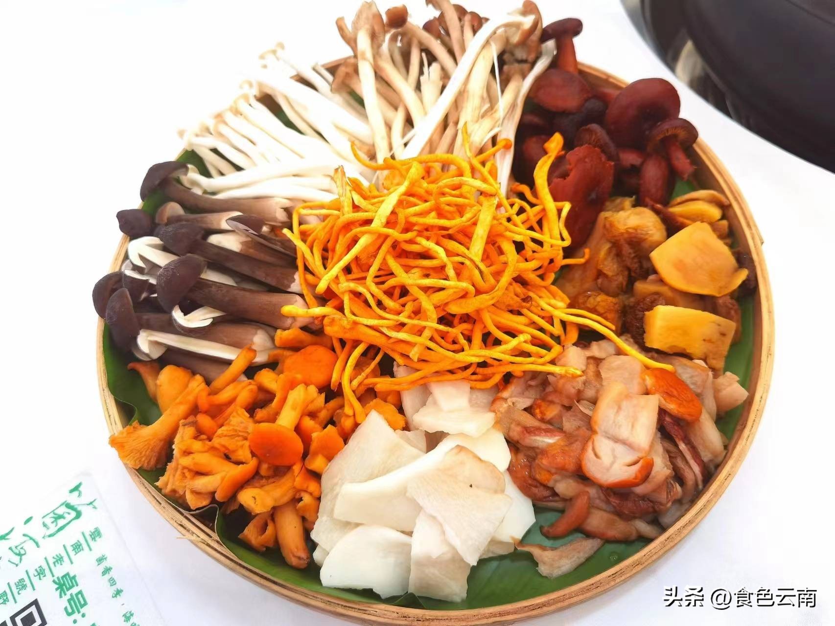 菌海森林野生菌火锅西双版纳,西双版纳野生菌推荐