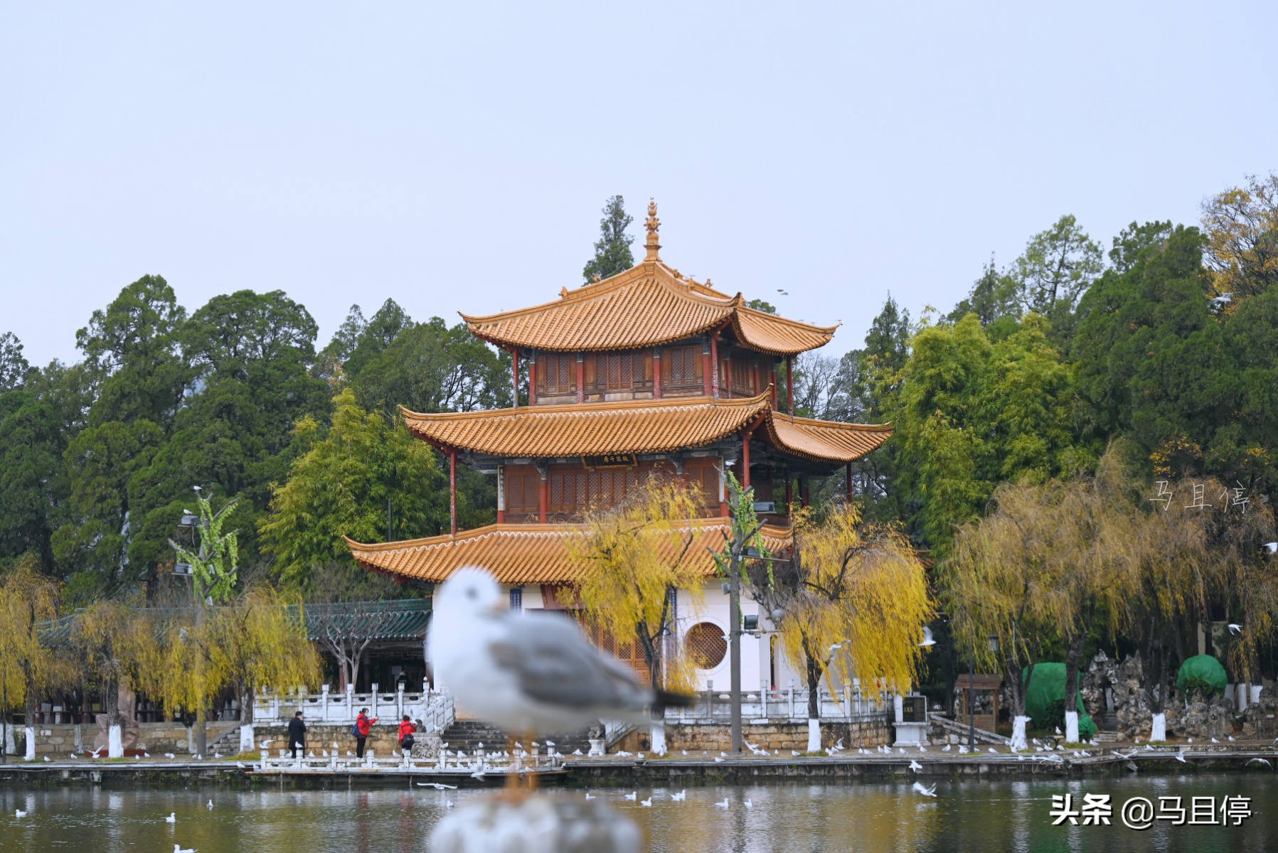 昆明滇池南岸古迹,昆明滇池哪个景点好