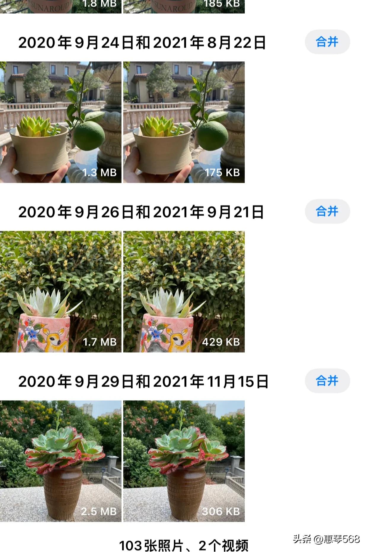 我的照片全部删了怎么找回来,我的照片图库在哪里