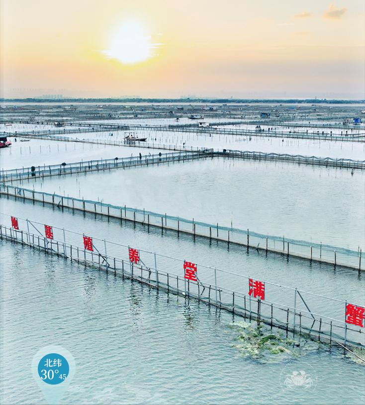 知名阳澄湖大闸蟹批发代理,阳澄湖大闸蟹招商加盟官网