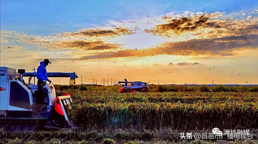 总要来趟潍坊昌邑吧！