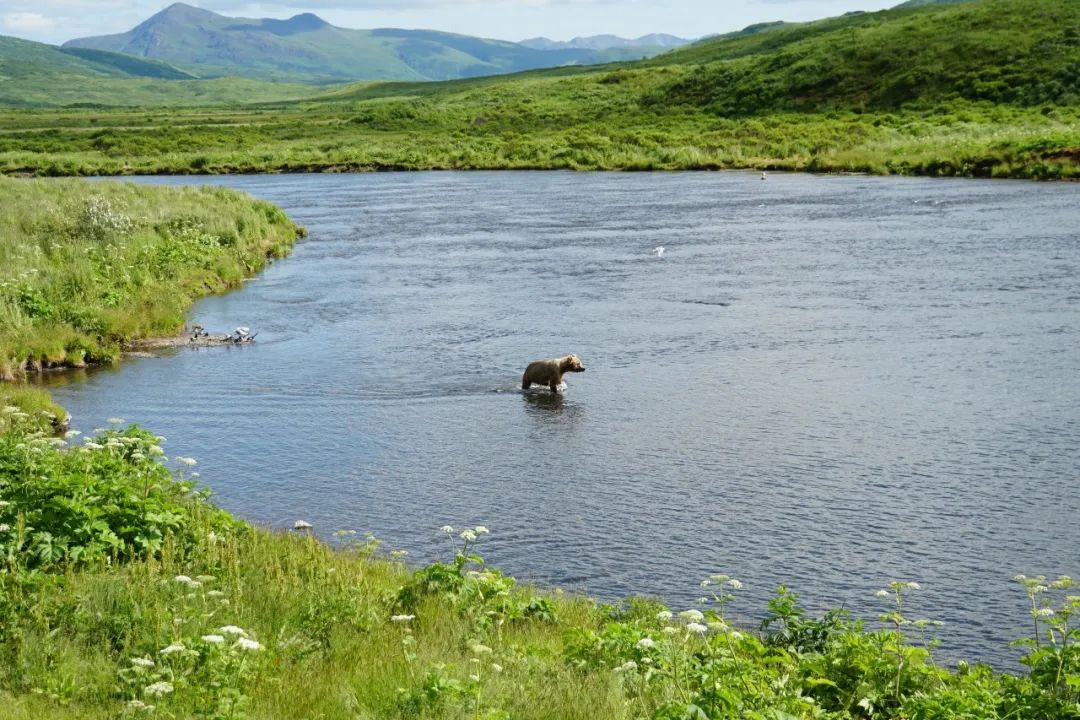 如此广袤纯粹，它上榜「BestinTravel2023​」当之无愧！