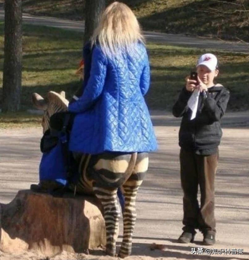 20张你必须要看的古怪老照片,20张照片看哭了你有勇气看完吗